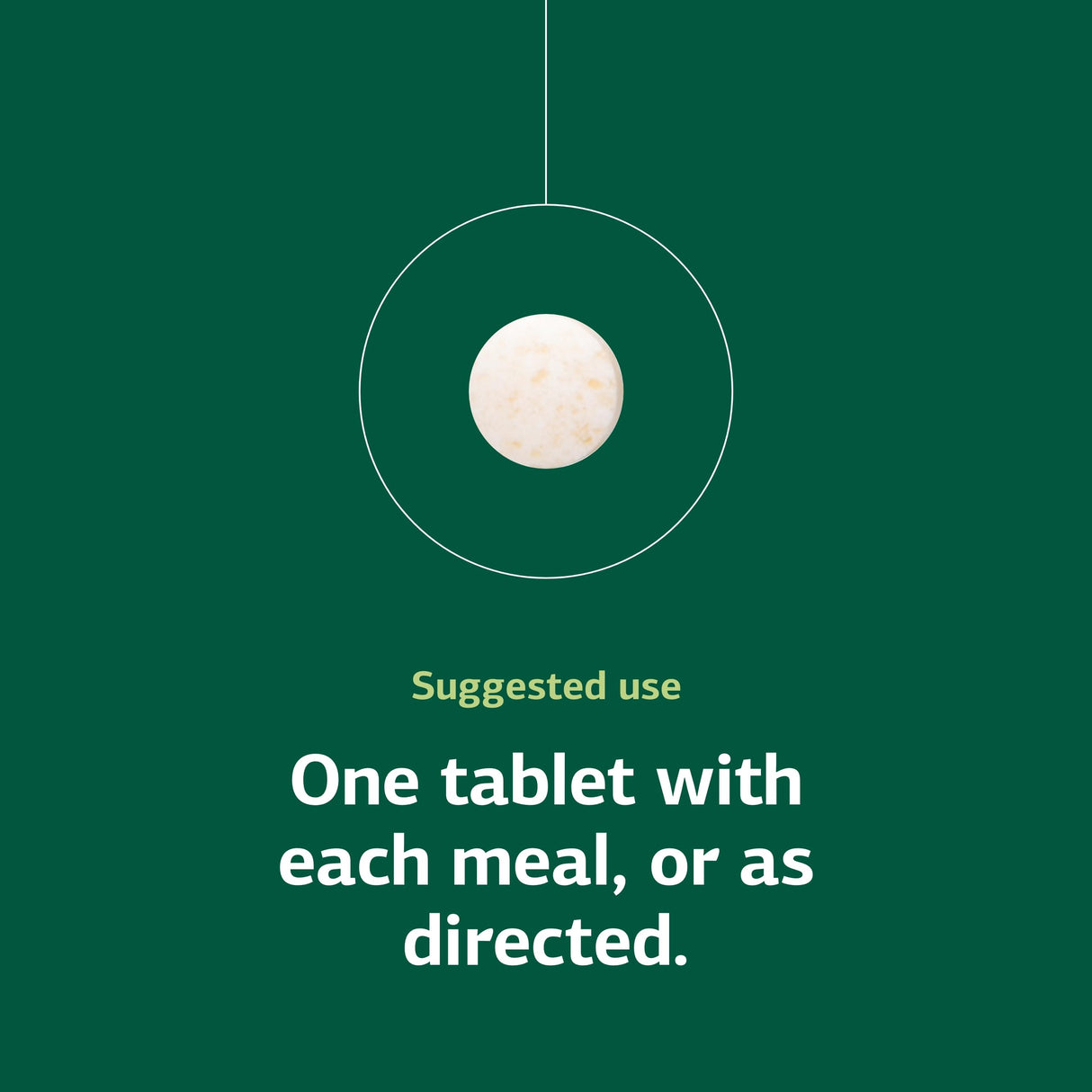 Standard Process Choline - Supports Healthy Fat Metabolism, Liver Health & Nervous System Function - Gluten-Free, Non-Dairy & Vegetarian -180 mg, 90 Tablets