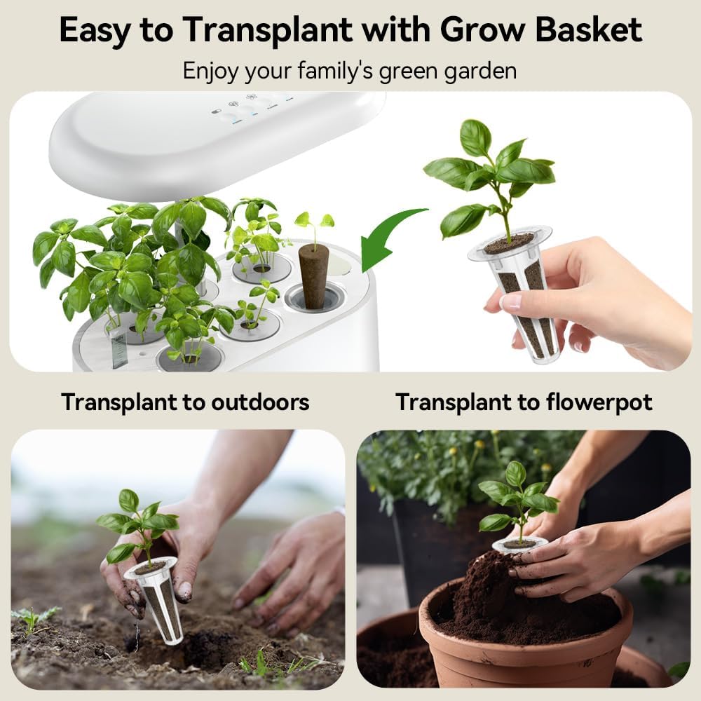 Inbloom 7-Pods Salad Greens Seed Pod Kit for AeroGarden, Ahopegarden, Gardencube Hydroponic Garden with Spinach, Buttercrunch, Paris & American Lettuce, Swiss Chard, Arugula, Bok Choy - 350 Seeds