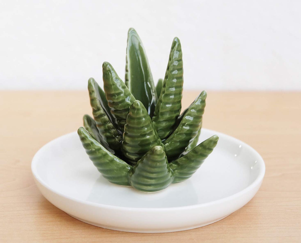 PUDDING CABIN Aloe Ring Holder,Cactus Ring Dish,Jewelry Holder Trinket Tray for Rings Earrings Necklace Organizer,Bridesmaid Christmas Birthday Gift for Women Girls