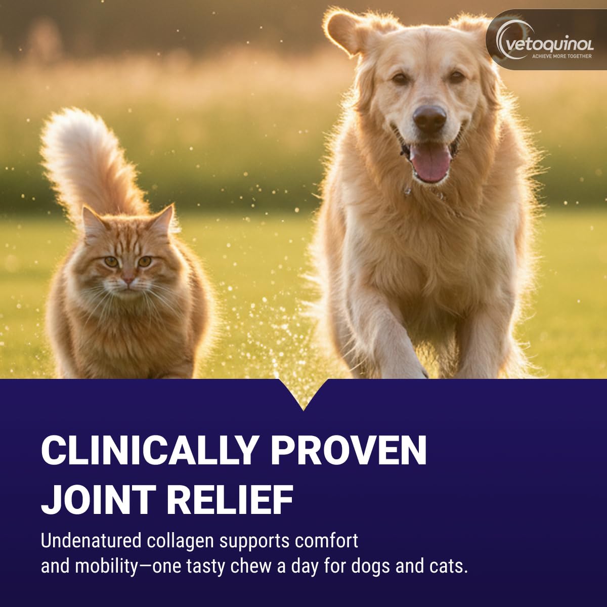 Vetoquinol Flexadin, Advanced Hip & Joint Chews for Dogs, 60 Chews
