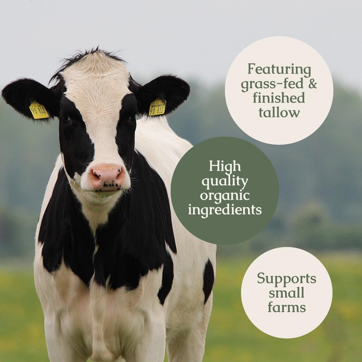 Hearth and Homestead: Handmade Animal-Based Retinol Serum