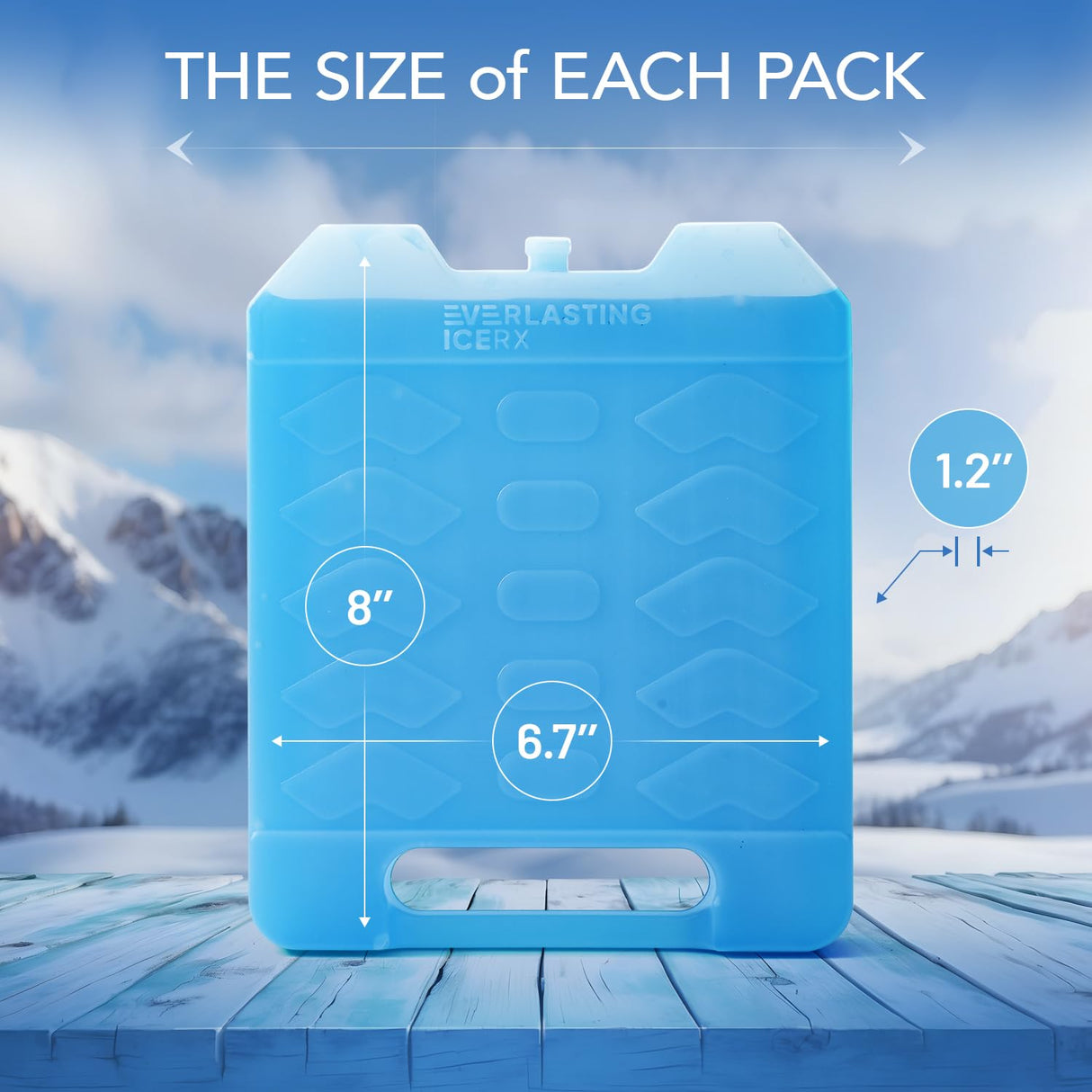 Large Reusable Ice Packs for Cooler with Handle (4 Pack) Long Lasting Coolness, BPA Free, Freezer Packs for Extended Cooling | Cooler Ice Packs for Camping, Fishing, Hiking, Beach