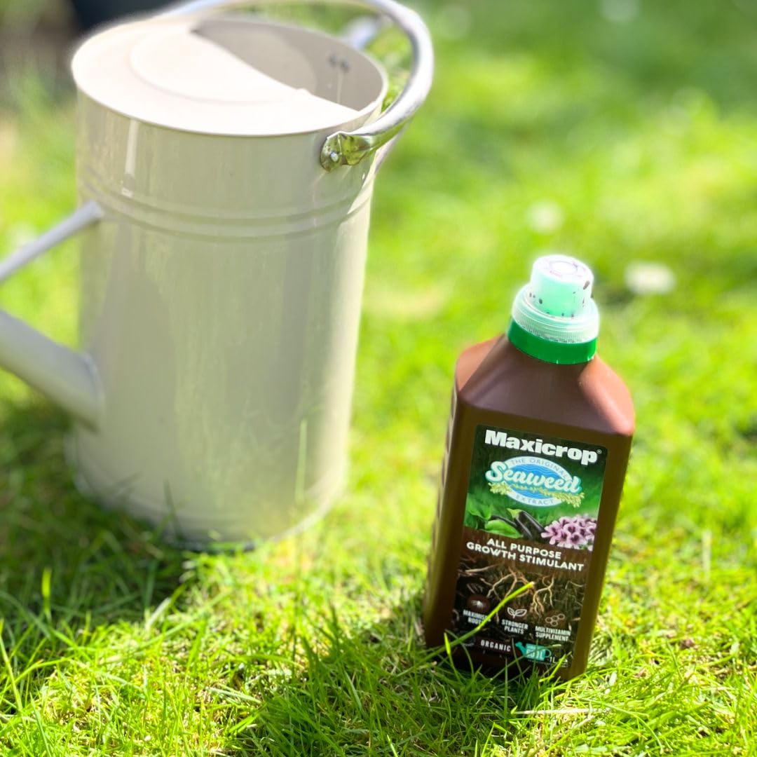 Maxicrop 140210 500ml Original Organic Seaweed Extract