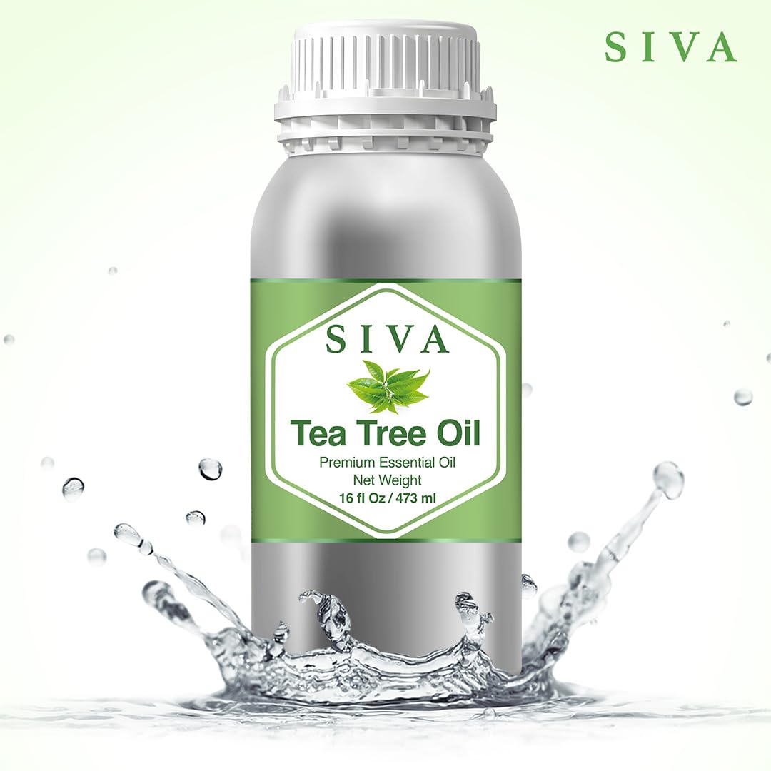 Siva Tea Tree Essential Oil - 16 Fl Oz – Natural Tea Tree Oil - for Diffuser, Face, Skin Care, Aromatherapy, Hair Care, Scalp and Body Massage