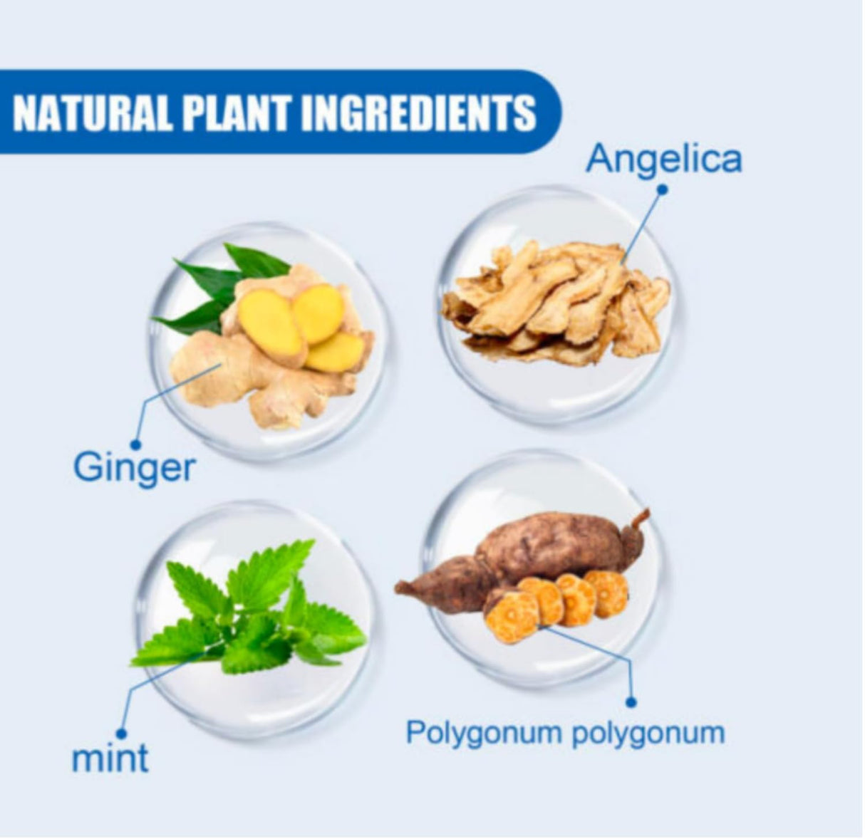 Kirkland Minoxidil 5% - 12 Month Supply for Men with General Thinning of Hair on Top of Scalp