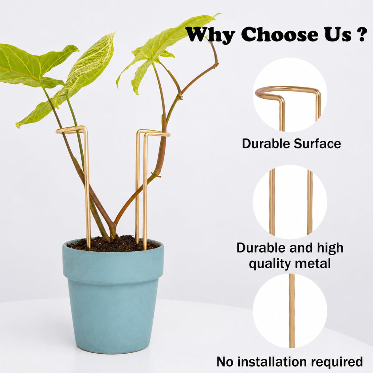 GOOOXIM 8.7 Inch Indoor Plant Trellis 10 Pack Small Gold Plant Supports