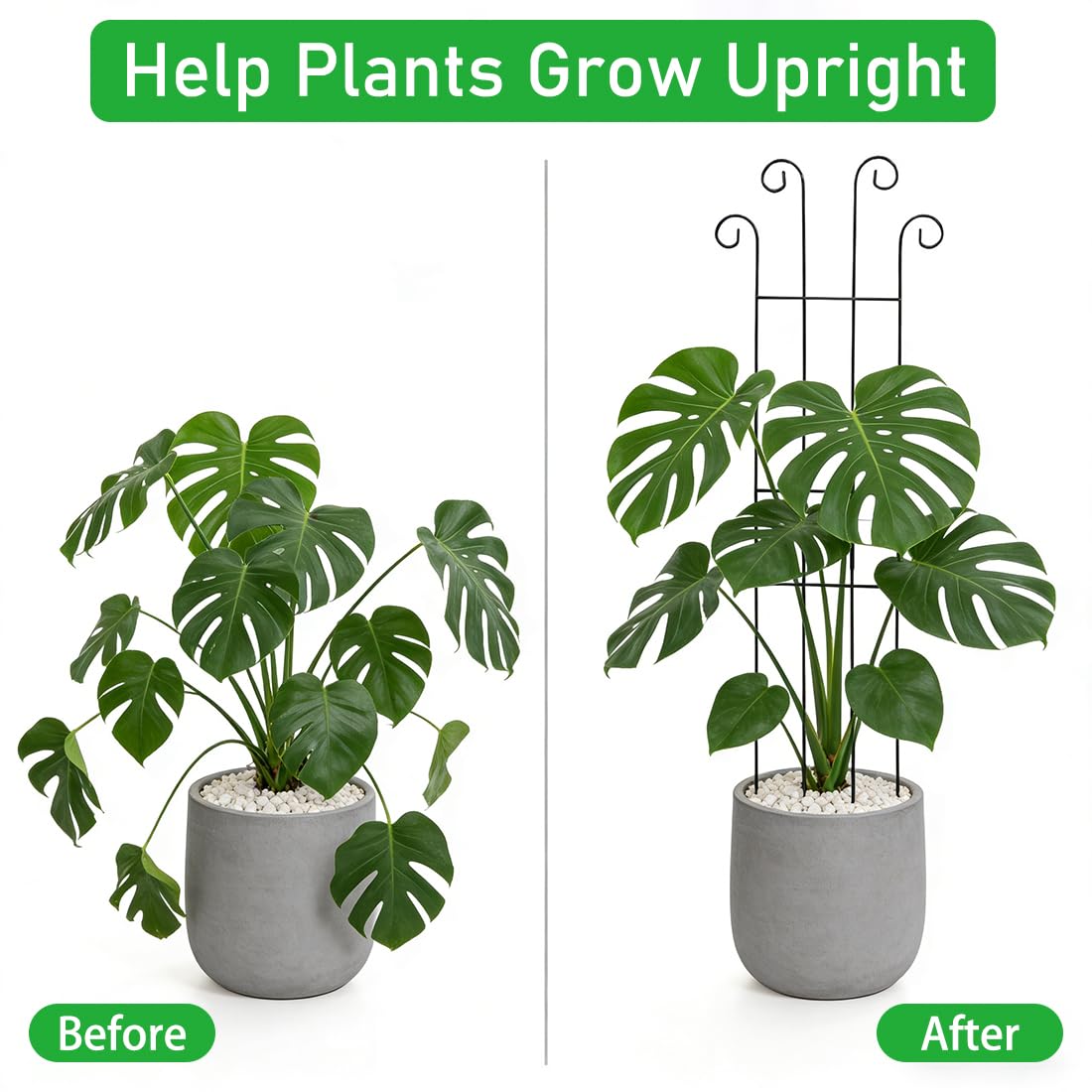 32.6inch Plant Trellis for Pot Climbing Plants Indoors & Outdoor, Garden Trellis for Potted Plants, Rust-Proof Metal Sturdy Yet Gentle Climbing Stakes Support for Ivy Pothos Hoya Monstera (4pcs)