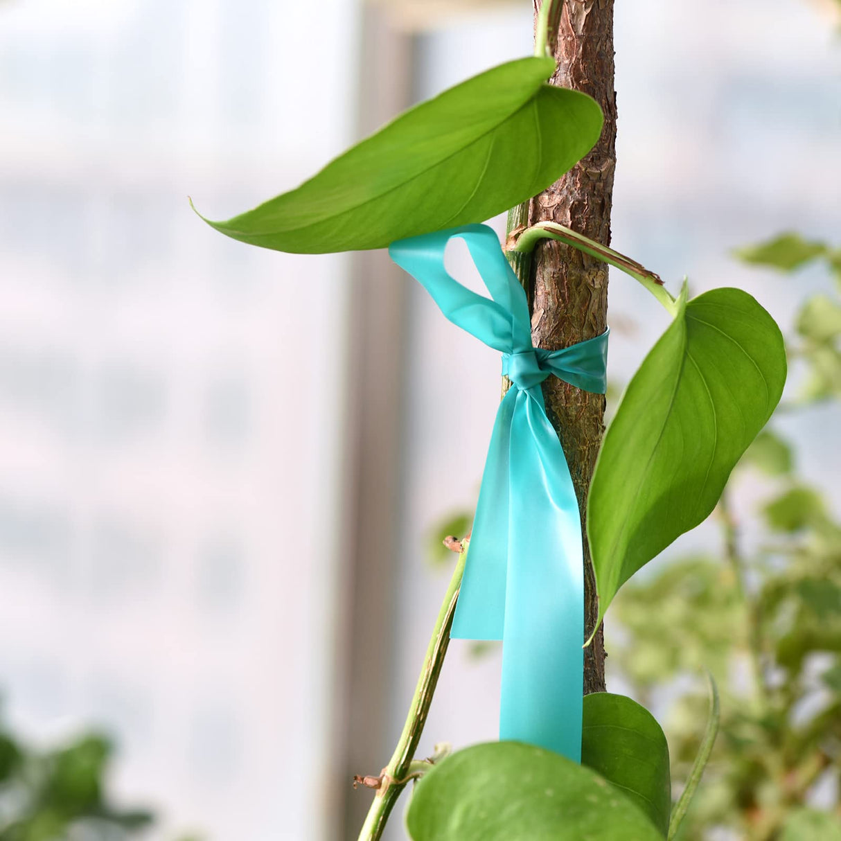 TELENT OUTDOORS 4 Rolls Stretch Tie Tape, 1” Wide 200FT Reusable Garden Plant Ties Green Tapes for Plants, Thick Garden Vinyl Stake Ribbon for Branches Flowers Tomatoes Indoor Outdoor Greenhouse