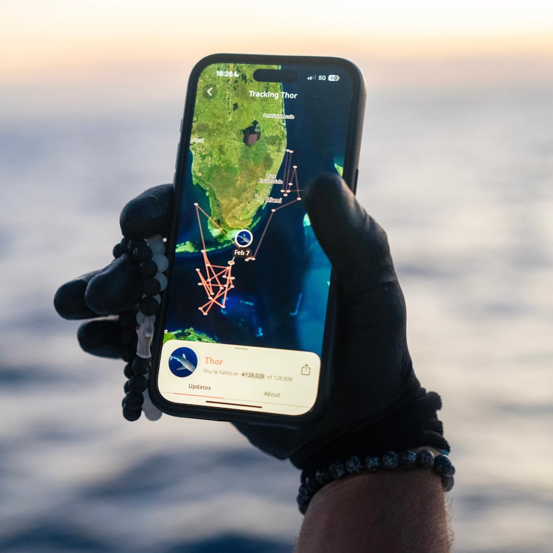 Fahlo Shark Tracking Bracelet – Track a Real Shark’s Journey – Supports Wildlife Conservation – Elastic, One Size Fits Most – on Interactive Mobile App Map – Unisex Ocean Conservation Gift (Dune)