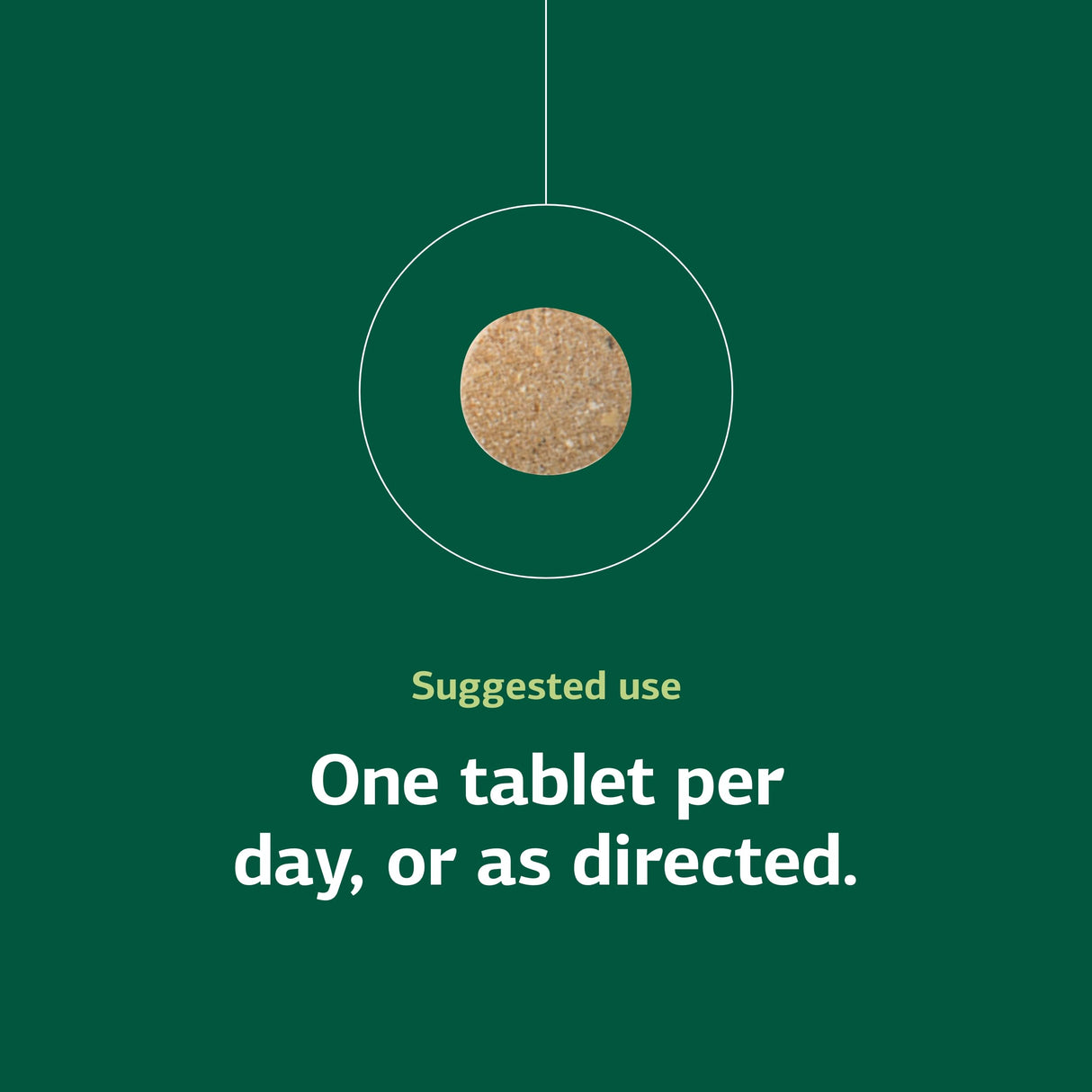 Standard Process Cataplex B12 - Vitamin B12 Supplement for Blood Health Support & Nervous System Function - B12 Vitamin Supplement for Well-Being - Gluten-Free, Non-Dairy & Non-Soy - 90 Tablets