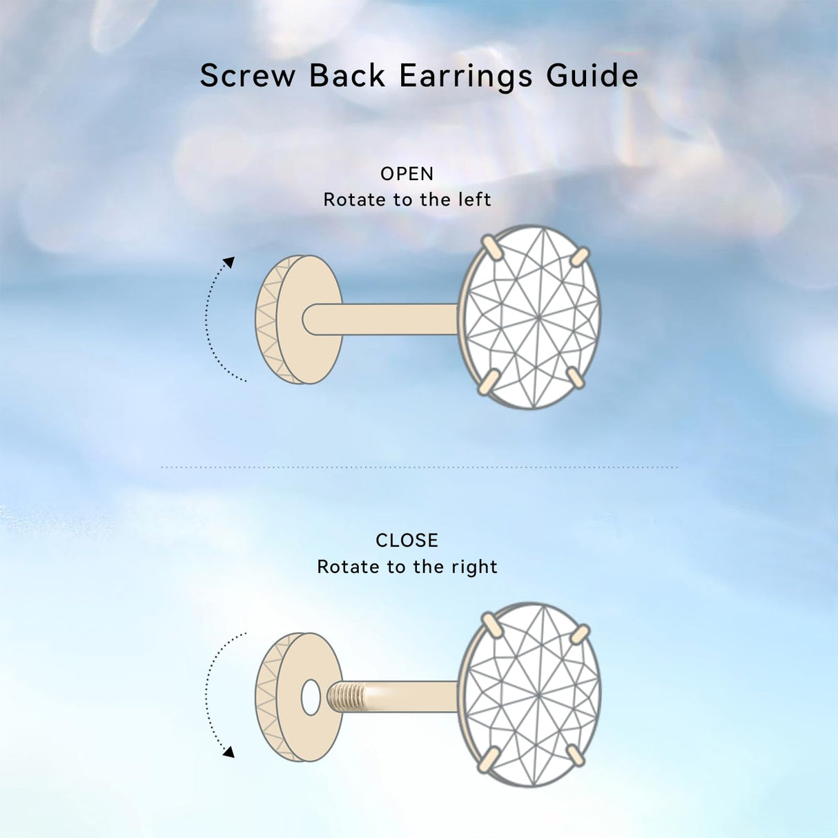Limerencia Implant Grade Titanium Screw Back Earrings for Sensitive Ears