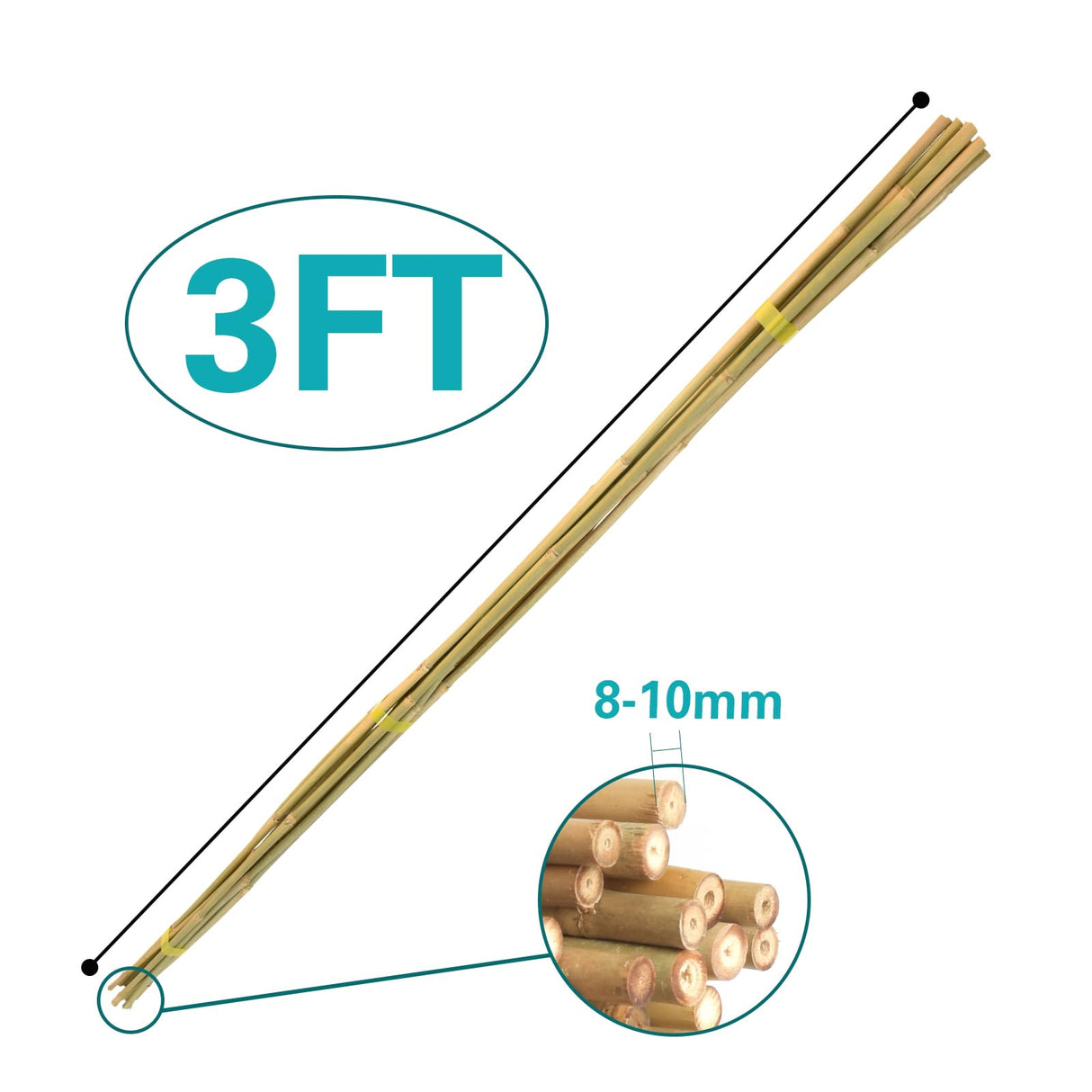 Sprigra Bamboo Stakes 3FT 30pcs, 36 inch Garden Stakes Multi-Purpose, Bamboo Plant Support Stakes for Tomatoes, Beans, Peppers, Flowers, Potted, Maintain the Plant Posture, Strengthen and Stem