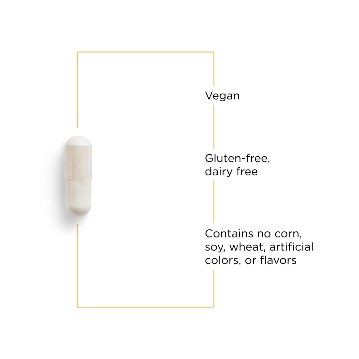 Integrative Therapeutics GABA - Supplement to Support Brain Nerve Cell Functions* and Health - Gluten-Free, Dairy-Free & Vegan Amino Acid Supplement - 750 mg, 60 Capsules