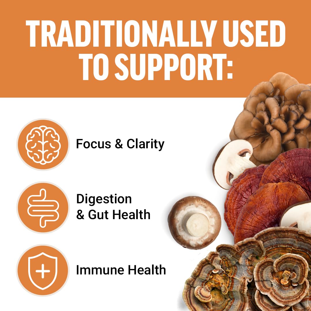 Force Factor Modern Mushrooms Soft Chews, Mushroom Supplement with Lions Mane, Turkey Tail, & Cordyceps to Support Energy, Focus, Immunity, & Digestion, Cinnamon Roll, 60 Soft Chews