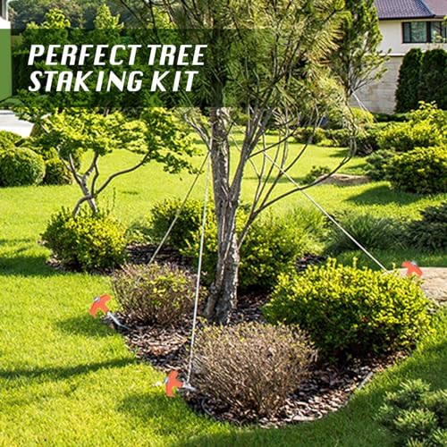 8" Screw in Tent Stakes 16PCS - Ground Anchors Screw in, Screw in Tent Stakes Heavy Duty, Galvanized - Tent Accessories, Metal Threaded Tent Spikes with Hex Head Driver and Storage Bags