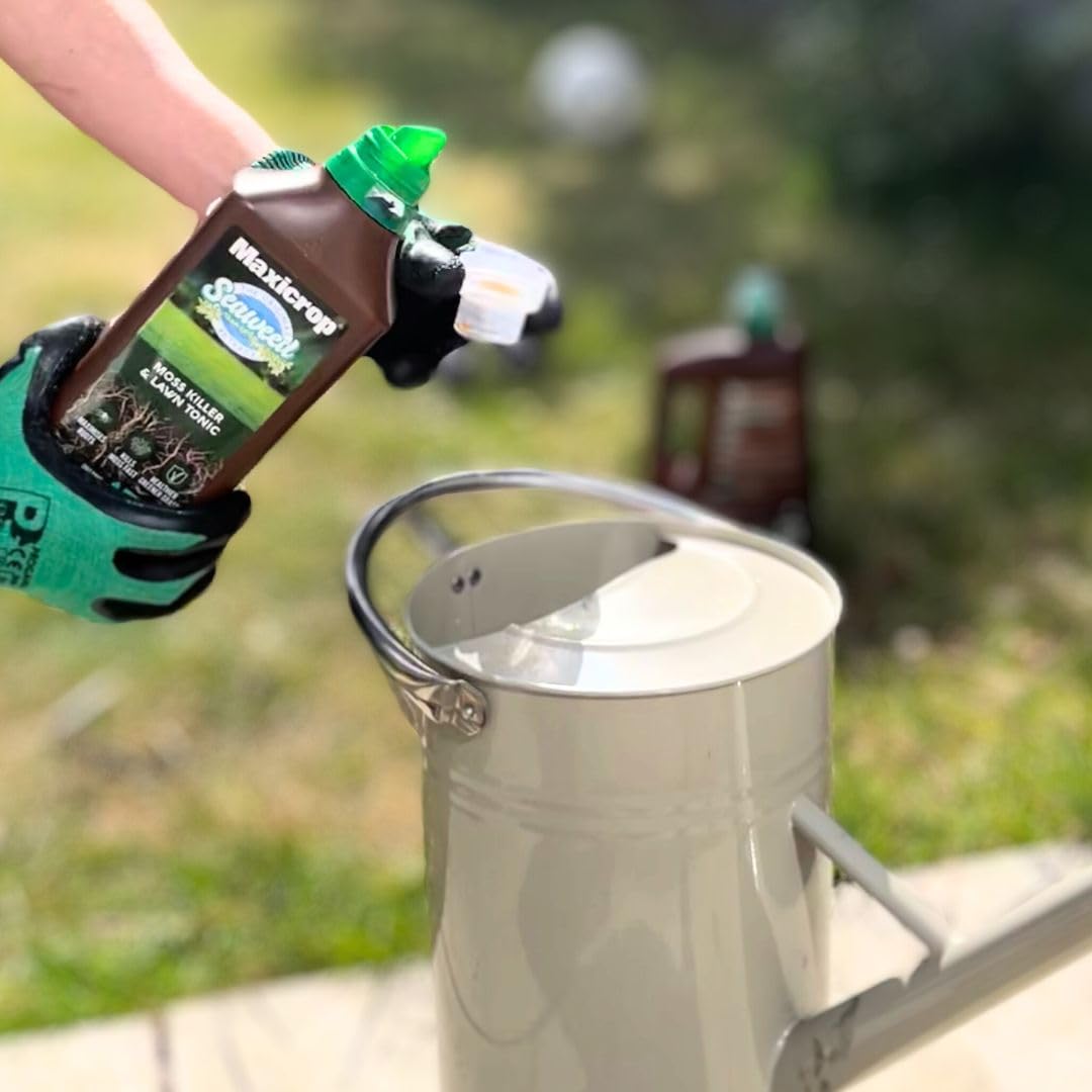 Maxicrop 86600258 Moss Killer & Lawn Tonic, 1L - Fast Acting 2-in-1 Moss Killer and Lawn Re-Growth Tonic - with Natural Seaweed Extract - Improves Lawn Health and Strong Rooting - Garden Care