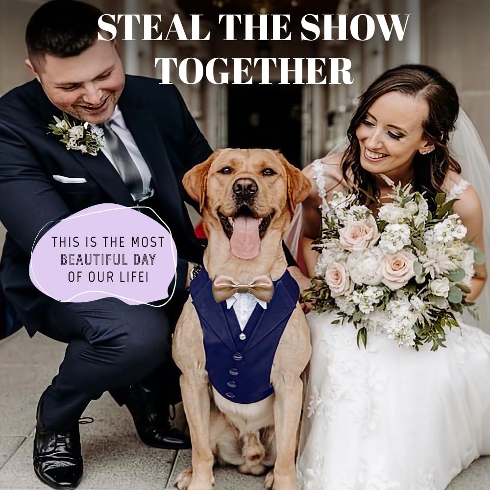AVERYDAY Dog Tuxedo for Wedding Outfit, Dog Suit and Tie Costumes for Birthday, Halloween, Cosplay, Christmas Party, Pet Formal Wear with Bowtie, Tux for Medium Large Dogs, Bulldog, Labrador, Husky