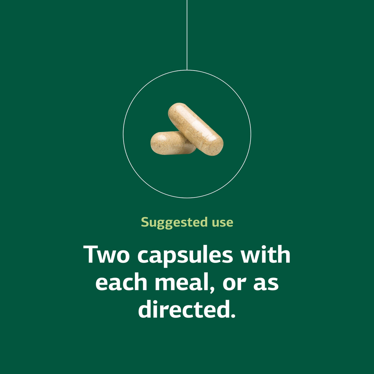 Standard Process Inc. Fen-Cho - Whole Food Bowel and Digestive Health with Collinsonia Root, Fenugreek Seed, Bile Salts, and Okra Fruit - 90 Capsules