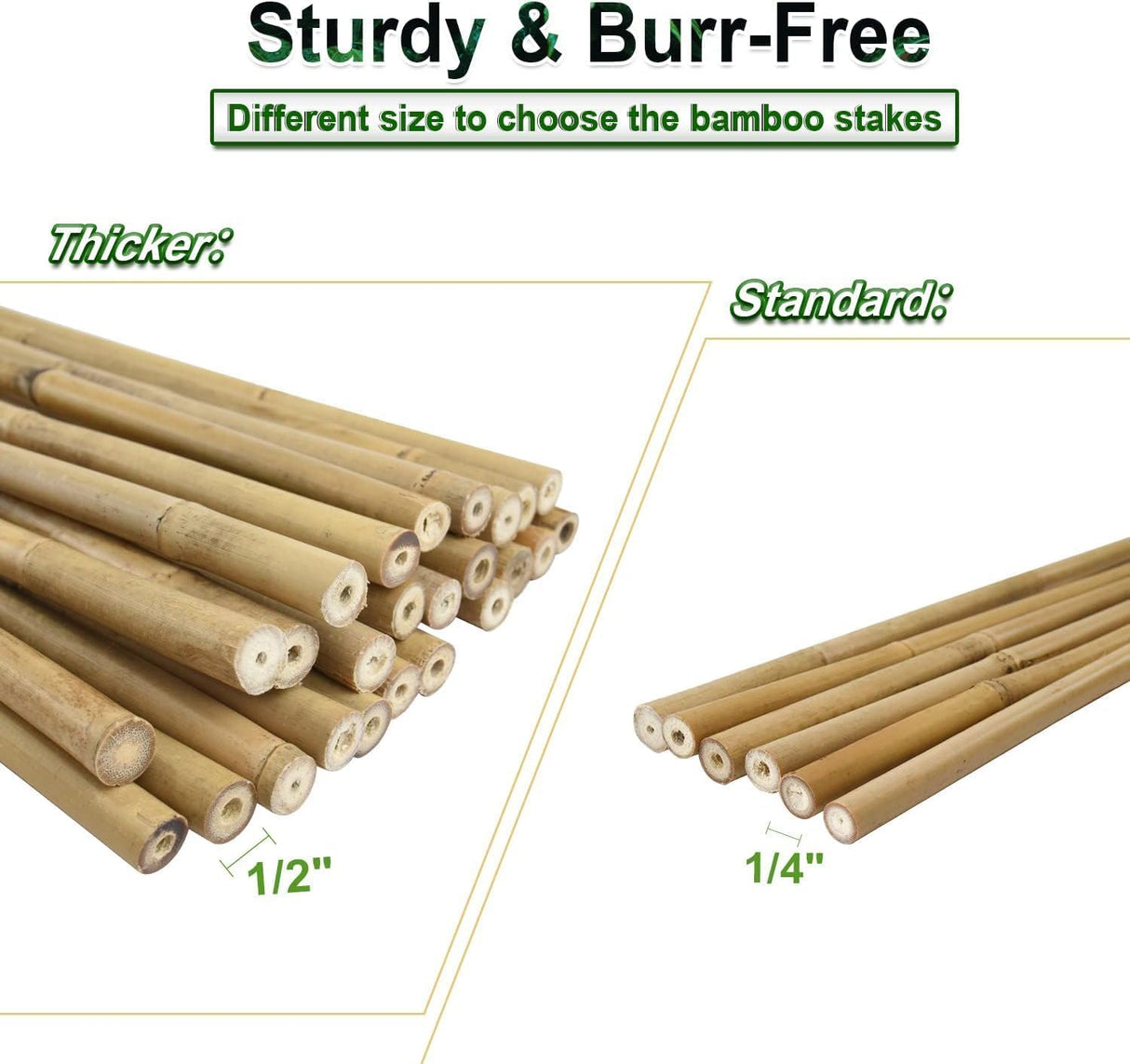 Jollybower 1/2" D 4.75 Feet Bamboo Stakes 50 Pack, Thicker Heavy-Duty Plant Stakes, Natural Garden Stakes for Bean, Tomato, Bean, Flowers,Trees Potted and Climbing Plant Support