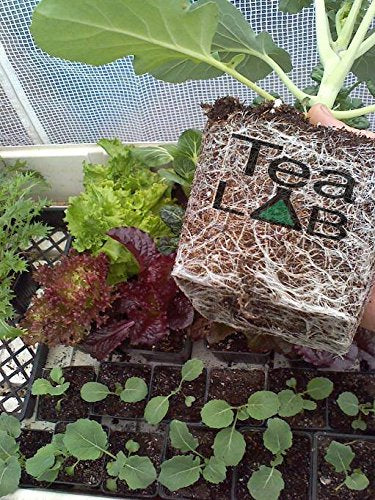 Compost Tea Kit: 5 Gallon Get Brewing Special~ BubbleSnake, Bag, Air Pump & Tubing (714GPH Air Pump)