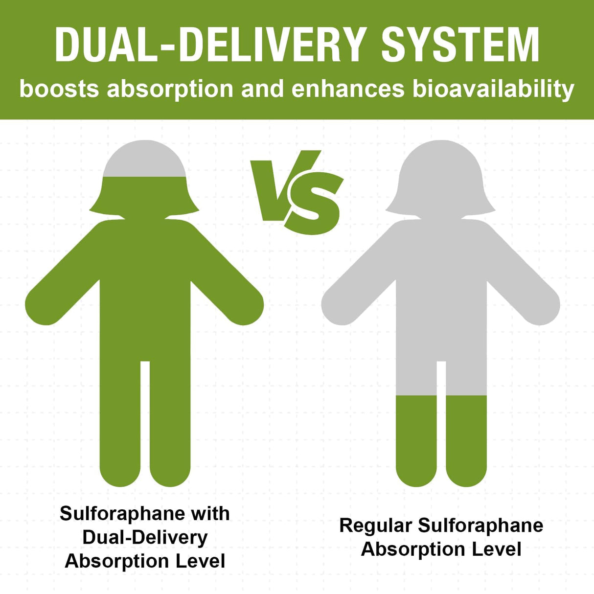 800 MG Liposomal Sulforaphane, Powerful Dual-Delivery for Maximum Absorption & Potency, Full-Spectrum Broccoli Extract, Antioxidant & Liver Supplement, 120 Softgels