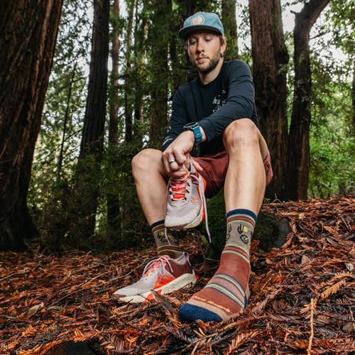 Darn Tough Men's Willoughby Micro Crew Lightweight with Cushion Sock (Style 5003)