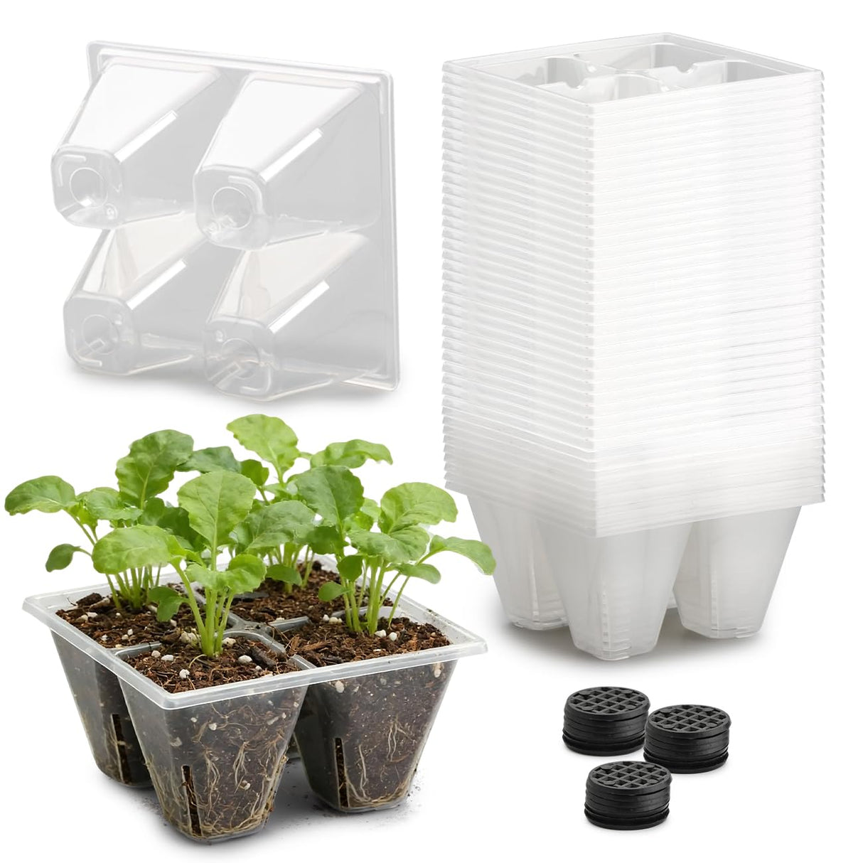 RooTrimmer 40 Pack Reusable 4-Cell Seed Starter Trays with Large Drainage Holes - Clear Transparent Trays for Root Growth Monitoring, Avoids Overwatering, Easy Transplant, Fits Standard 1020 Trays