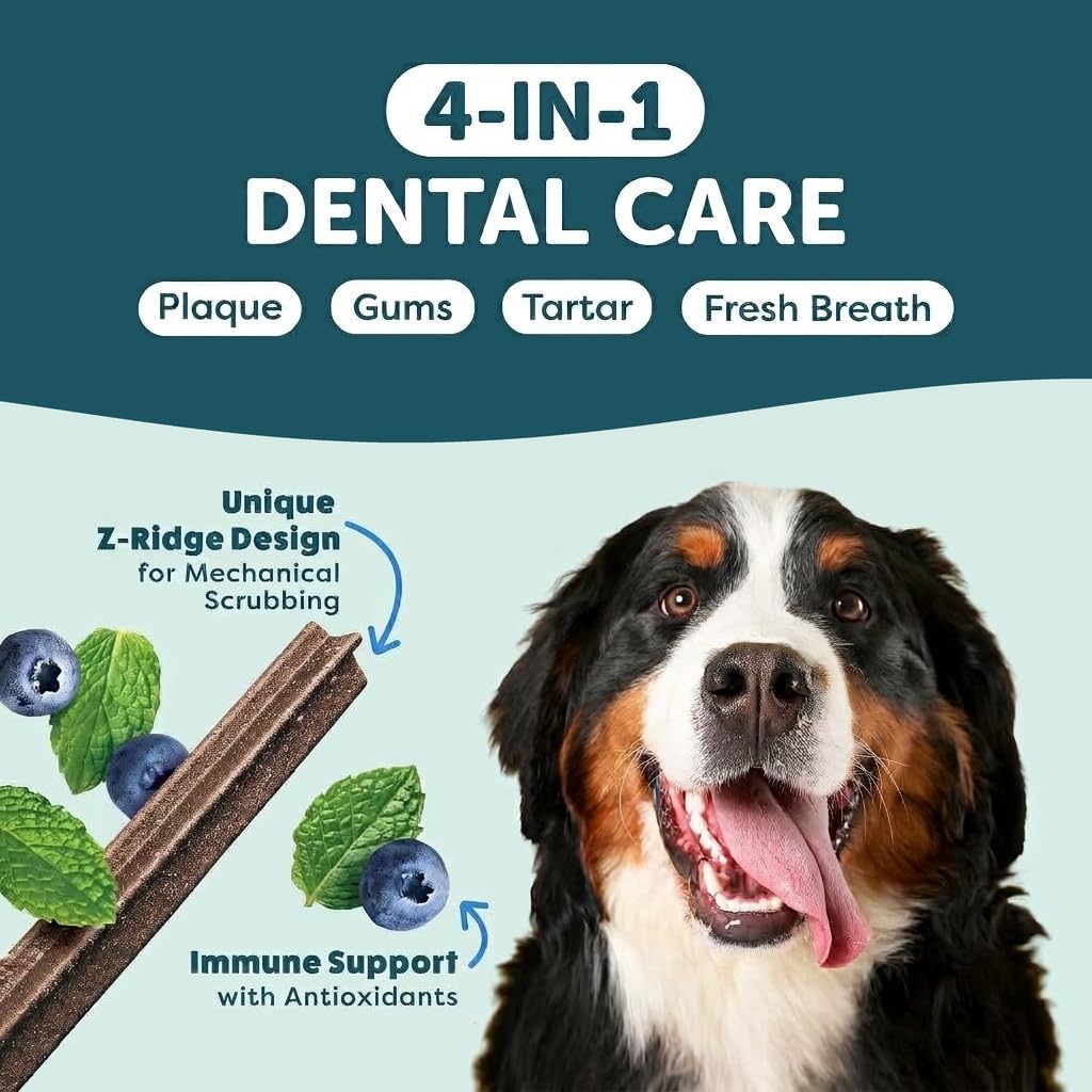 Shameless Pets Blueberry & Mint Dental Chews for Dogs, 32 Chews