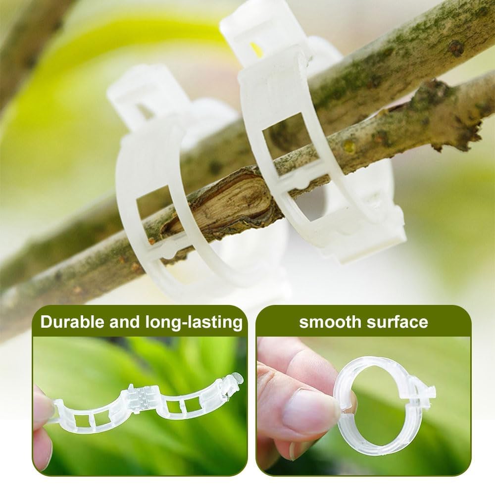 Secured Plastic Plant Clip, 2025 Upgrade Plant Support Clips Reusable Garden Clips, Garden Clips for Climbing Plants, Plastic Trellis Clips Tomato Grape Vine Vegetables Plant Fixing Clips (50, Green)