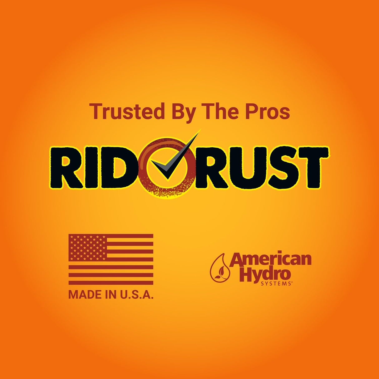 Pro Products American Hydro Systems 2662 Rid O' Rust Liquid Rust Stain Remover, 1 Gallon, 2 Pack