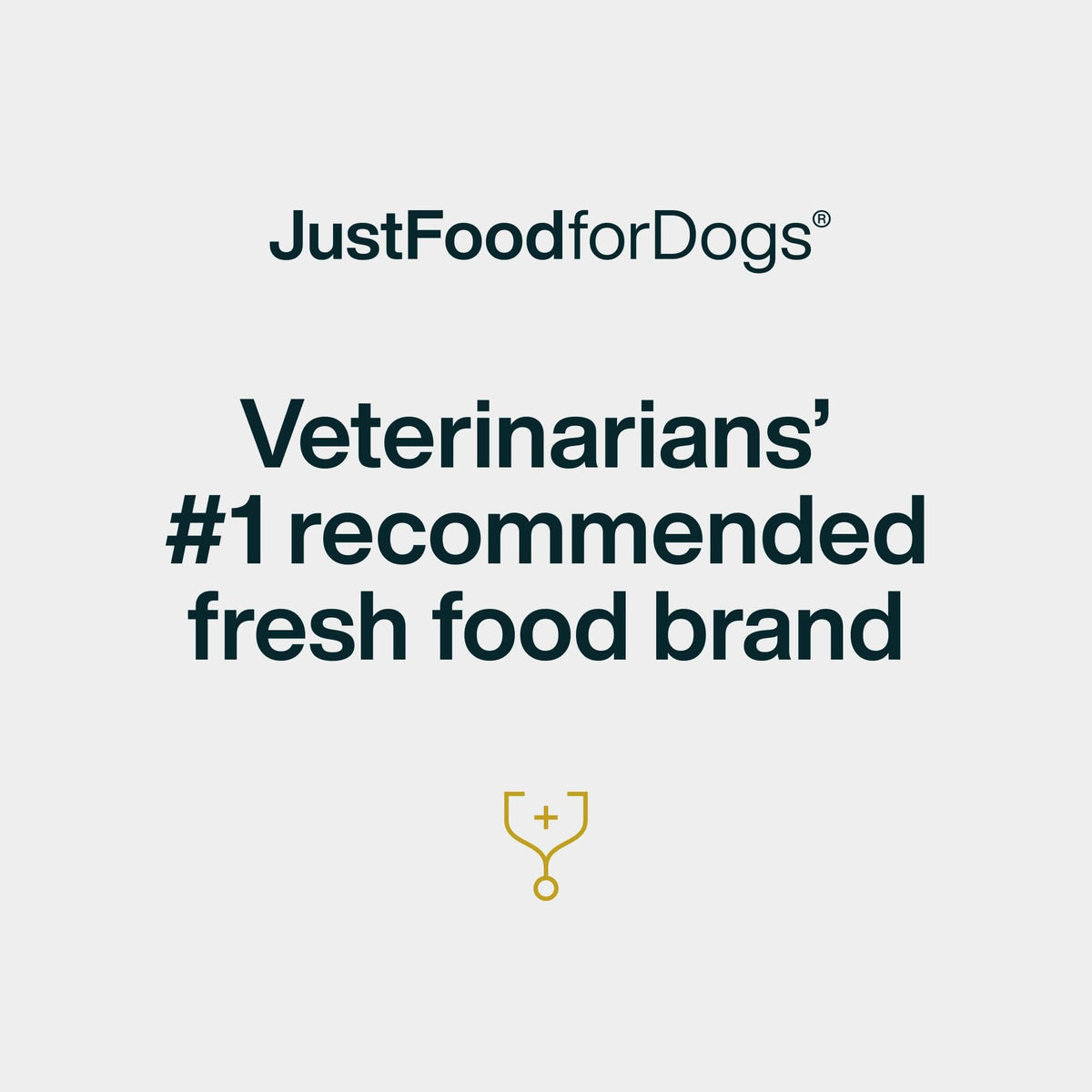 Just Food for Dogs Single Ingredient Healthy Dog Treats and Dog Snacks, Jerky Treats, Human Grade, Preservative and Grain Free, Rawhide Free Chews, Low Calorie Treat - Chicken Breast, 5 oz
