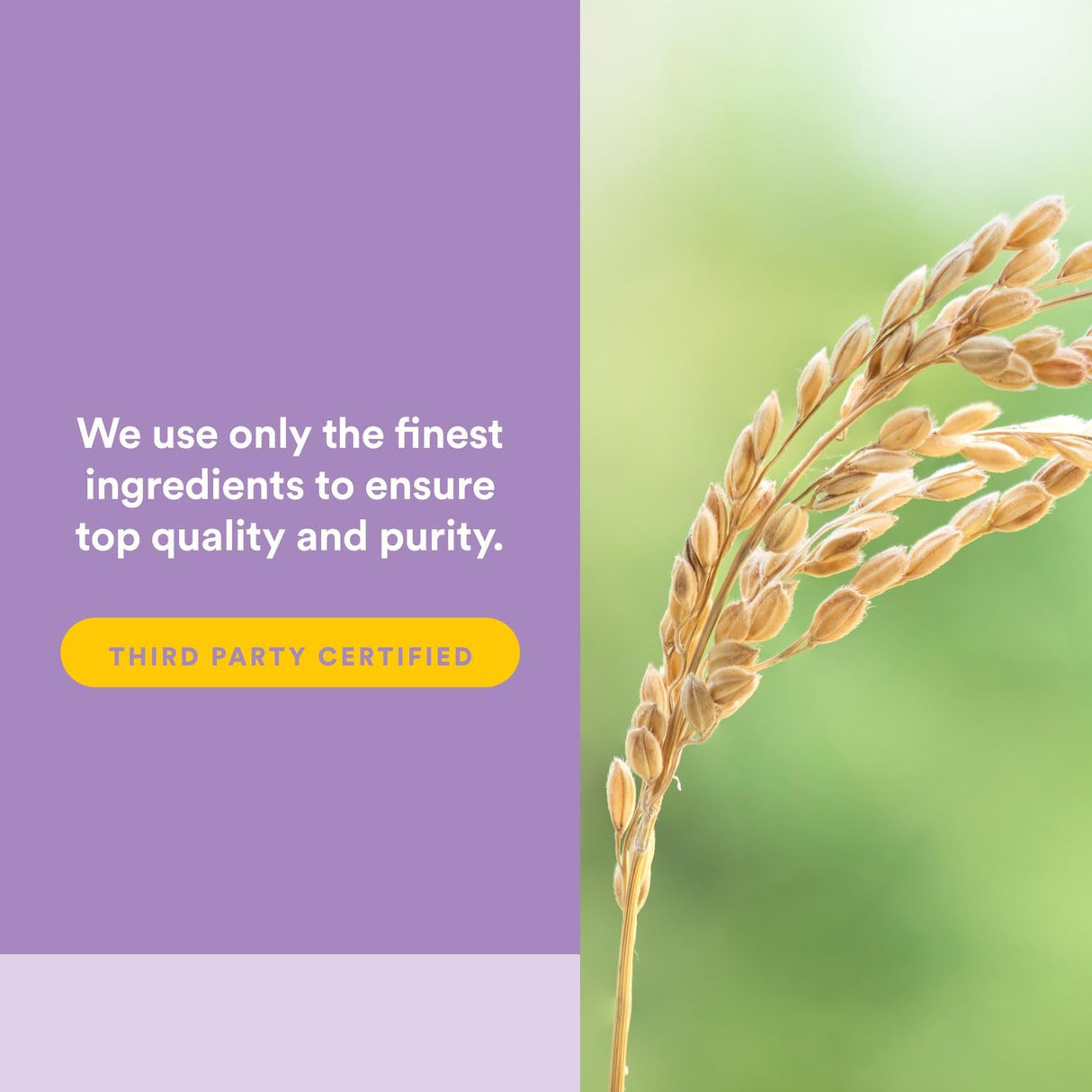 Stress-Relax Pharma GABA 100 mg by Natural Factors, Non-Drowsy Stress Support for Relaxation and Mental Focus, 60 vegetarian capsules (30 servings)