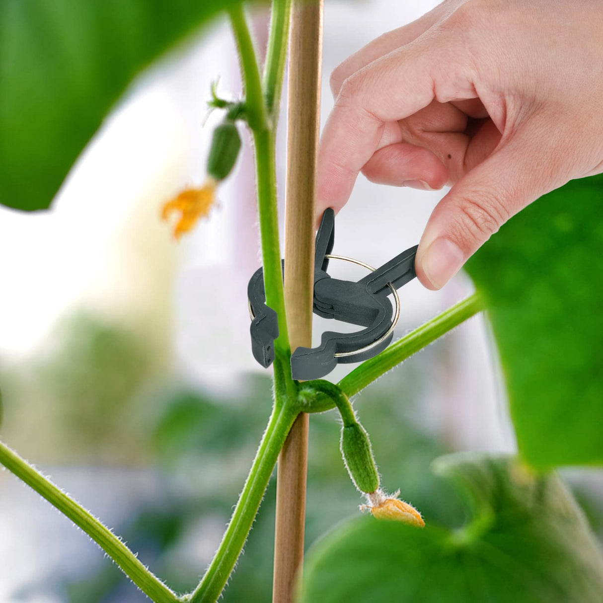 Fasmov 160 Piece Efficient Gardening Plant & Flower Spring Clips - for Supporting or Straightening Plant Stems, Stalks, and Vines
