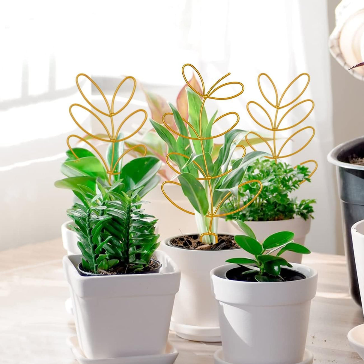 Simabsie 8 Packs Metal Trellis for Potted Plants, Climbing Support (Gold)