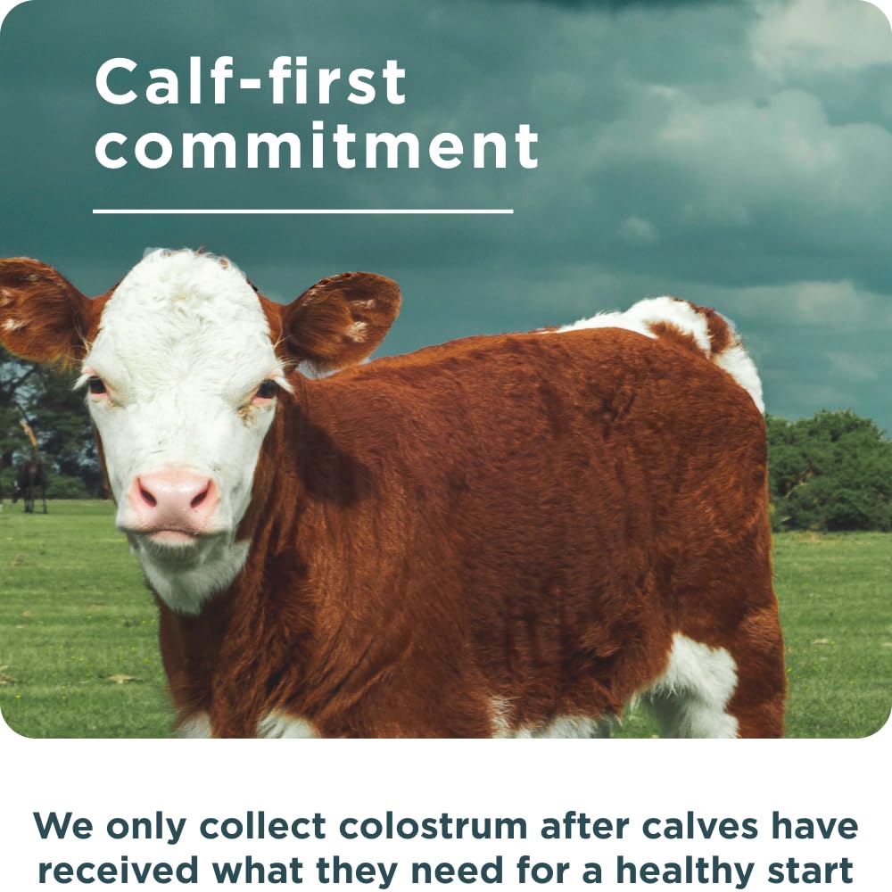 Ancient Nutrition Colostrum Superfood Powder, Grass Fed Bovine Colostrum, Supports Healthy Gut Microbiome and Immune System, Clinically Studied Lactoferrin & Probiotics, Unflavored, 60 Servings