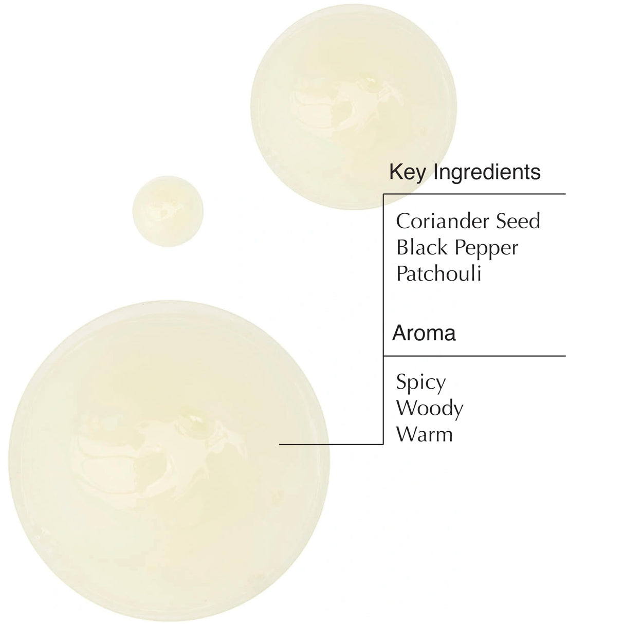 Aesop Coriander Seed Body Cleanser | Refreshing & Invigorating | Spicy, Woody, Warm | 16.9 oz / 500mL