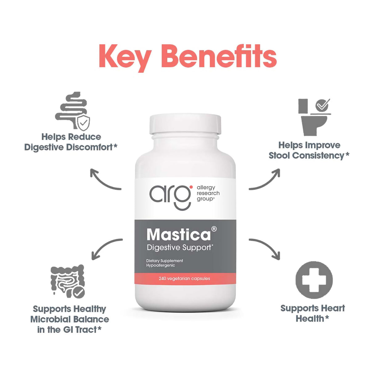 Allergy Research Group Mastica - Mastic Gum Capsules, Digestive Health Supplement for Adults, Mastic Resin Powder Capsules for Gut Health Support - 240 Count