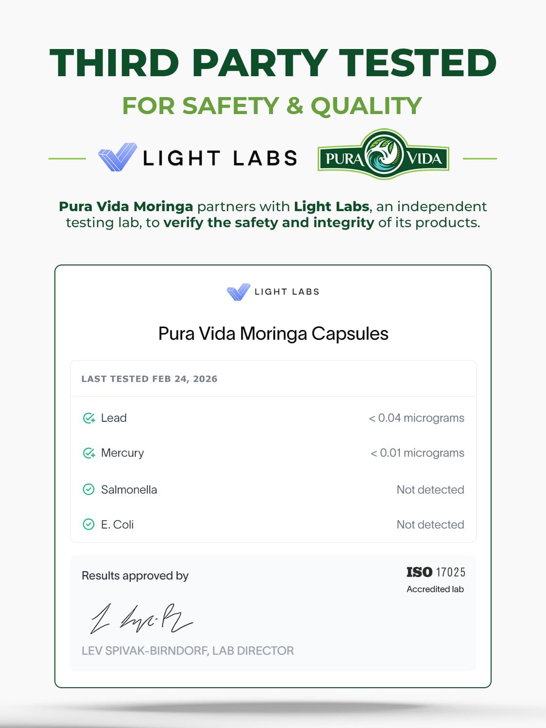 PURA VIDA MORINGA Organic Moringa Leaf Powder, Premium 100% Leaf Powder Single Origin - USDA Organic Moringa Oleifera, Perfect for Smoothies & Recipes, 8 oz