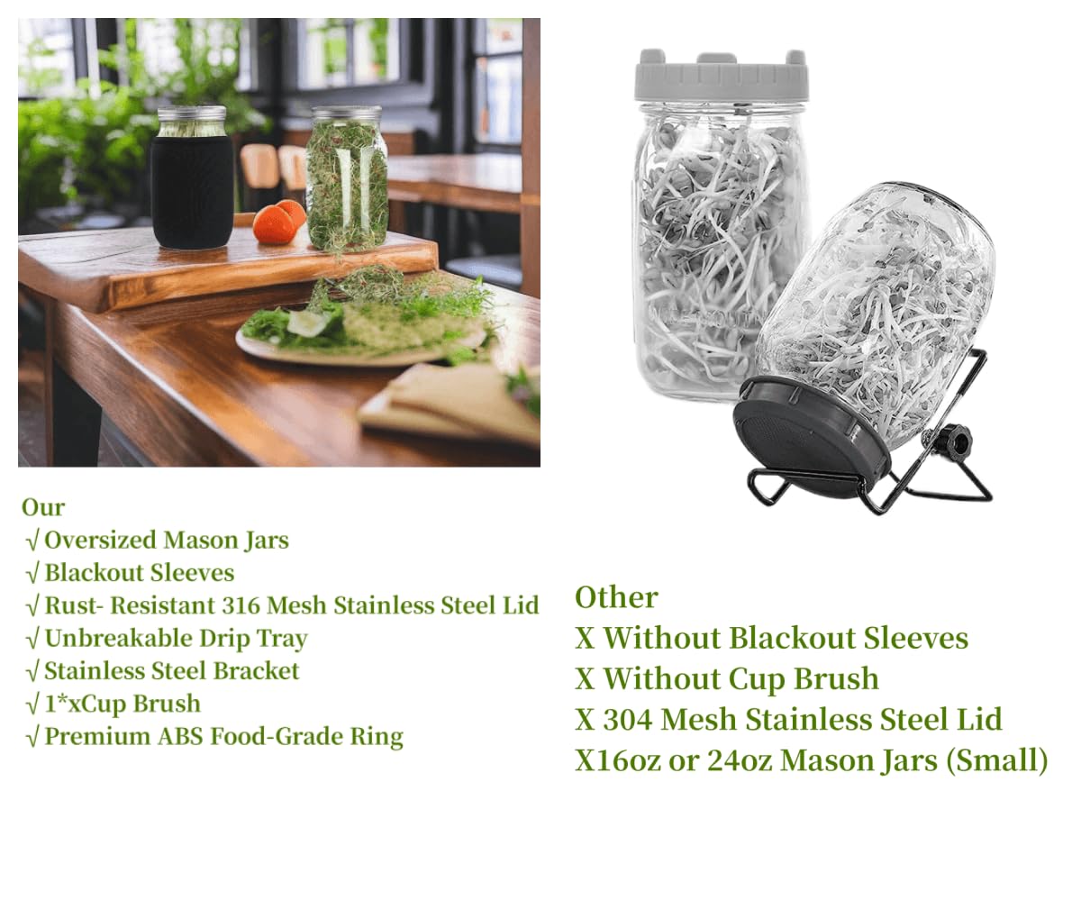 Lulonpon Sprouting Kit, 2 Sprouting Jar Kits, Wide Mouth Quart Mason Jars with Stainless Steel Screen Sprout Lids,1000ml, Stand and Canning Brush,Seed Sprouter Set for Growing Broccoli, Alfalfa