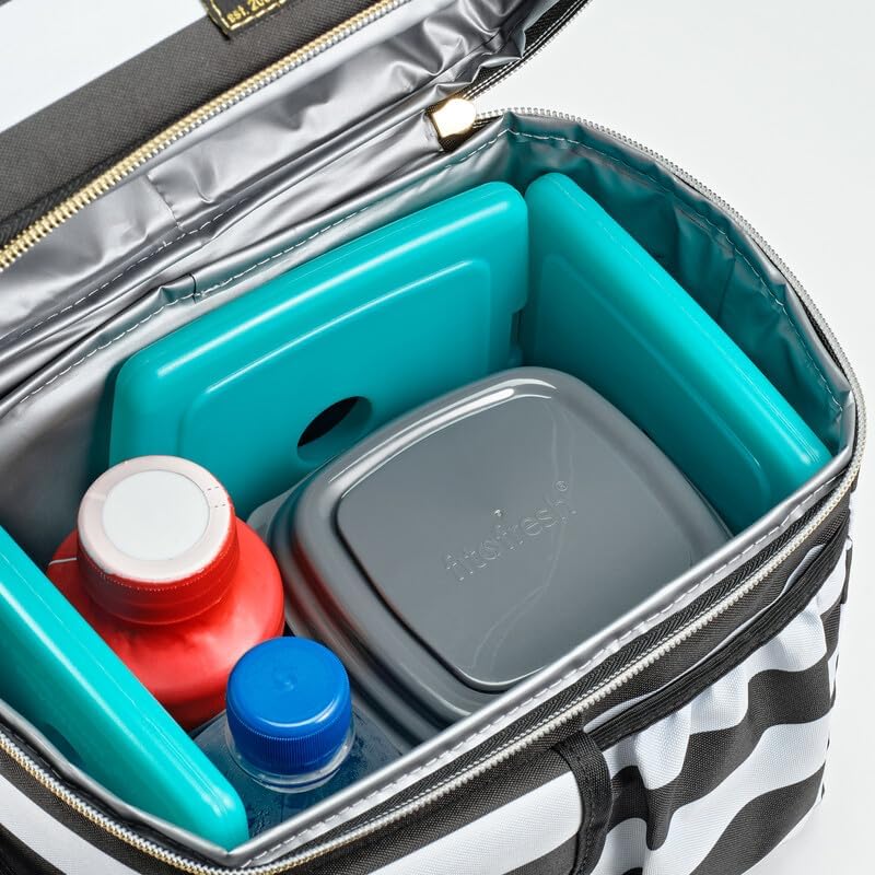 Cool Coolers by Fit + Fresh, Reusable & Long-Lasting Slim Ice Packs, Cold Packs for Lunch Boxes, Ice Packs for Lunch Bags