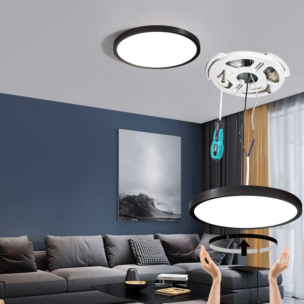 TALOYA Flush Mount LED Ceiling Light Fixture Black,12 Inch 20 Watt, Thin Ceiling Lamp Surface Mount for Kitchen Bedroom Utility Laundry Closet Room,5 Color Temperatures in One