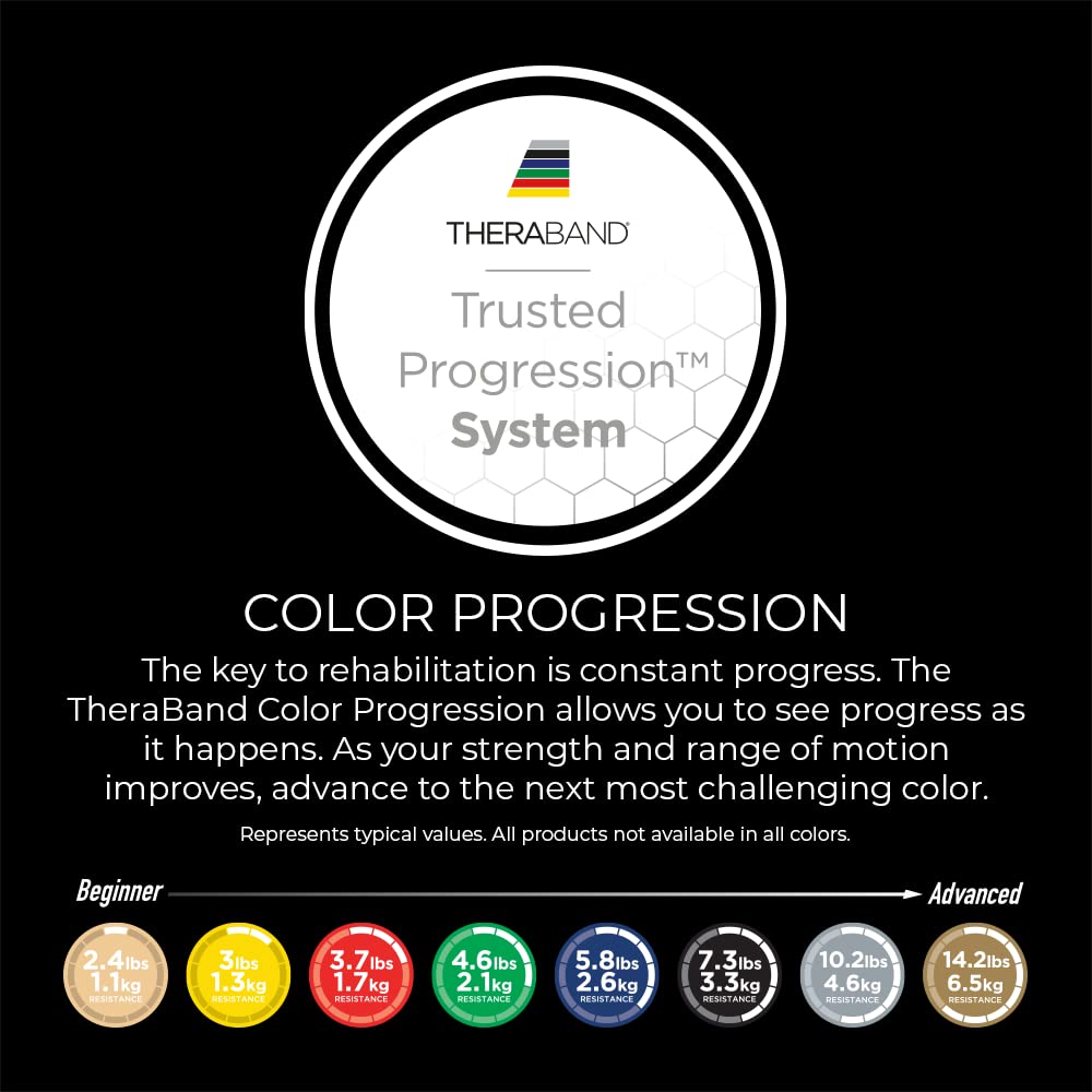 TheraBand Resistance Tubes, Professional Latex Elastic Tubing with Hard Handles, Exercise, Physical Therapy, Lower Pilates, At-Home Workouts, & Rehab, 48 Inch, Blue, Extra Heavy, Intermediate Level 2