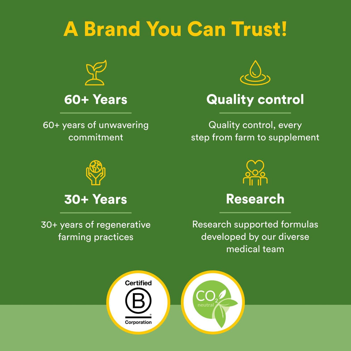 Whole Earth & Sea from Natural Factors, Organic Fermented Greens, Vegan Whole Food Supplement, Chocolate, 15.5 Oz