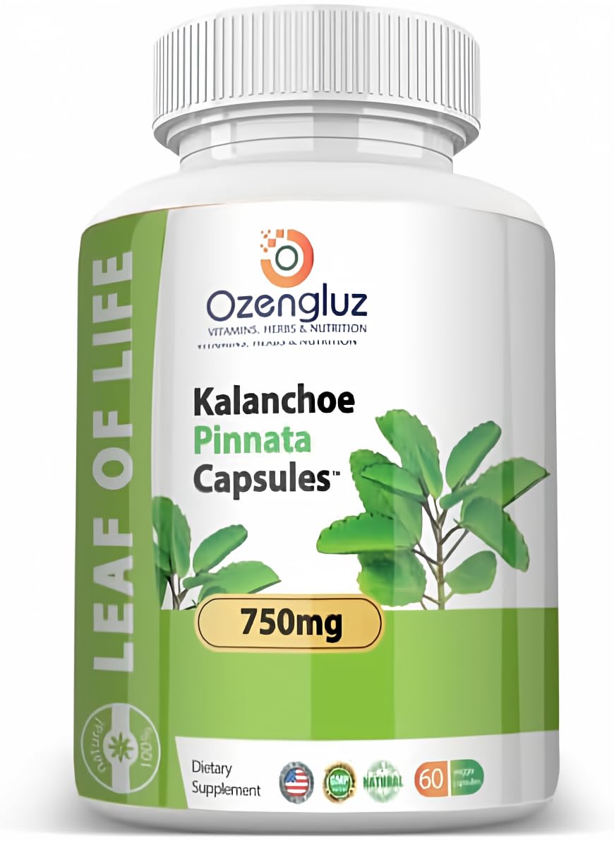 Kalanchoe Pinnata-Leaf of Life (Bryophyllum Pinnatum) 60 Cápsulas De 750mg Bottle.