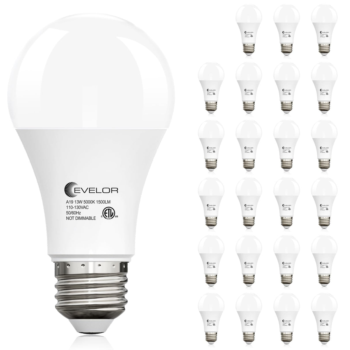 evelor 24-Packs A19 LED Light Bulbs,100 Watt Equivalent Daylight 5000K Bright Bulbs Efficient 13W,1500 Lumens E26 Base, Non-Dimmable, 15000-Hour Lifespan for Bedroom, Living Room, Office