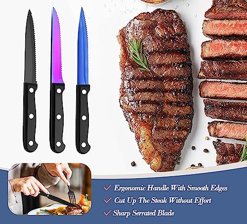 Portable Reusable Travel Utensils Silverware With Case, Camping Cutlery Set, Chopsticks and Straw, Flatware With Case, Stainless Steel Top (Blue)