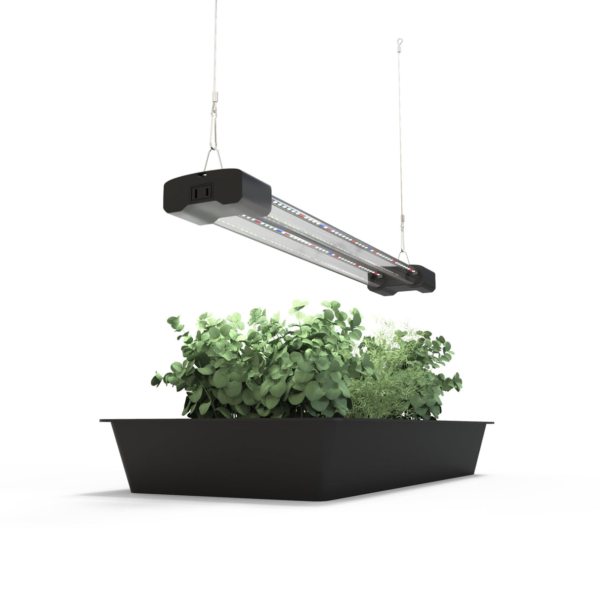 DYMOND BoostGro LED Seed Starter Grow Light Full Spectrum Linkable 5000k Daylight + 660nm Red + 450nm Blue Indoor Plant Lighting Fixture (2 FT, Black)