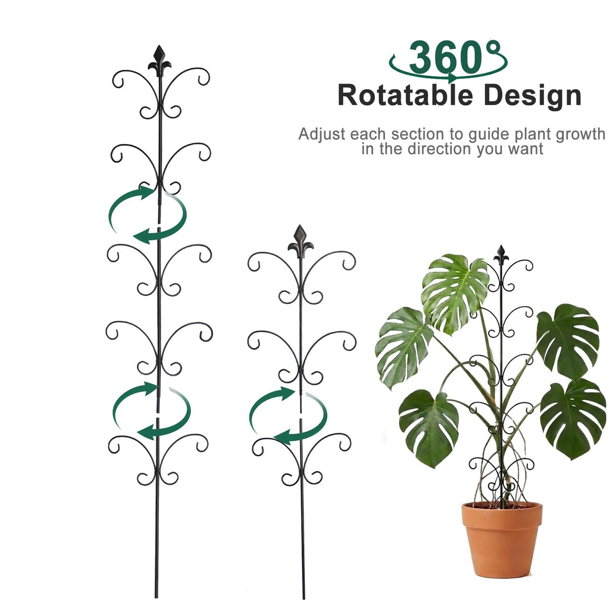 Metal Monstera Plant Support 2-Pack, Adjustable Height Steel Plant Trellis for Pothos, Vining & Climbing Potted Plants, Indoor & Outdoor, Sturdy Rotatable Plant Stakes with Rounded Ends, 31" & 46"