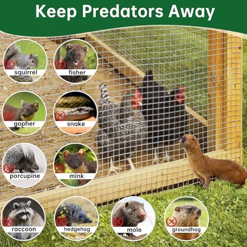 AMAGABELI GARDEN & HOME Hardware Cloth 1/2 inch 48 x 100 ft Galvanized 19 Gauge Chicken Wire Fence Welded Wire Fencing Mesh Roll Gopher Wire Rabbit Wire Snake Fence Poultry Netting Cage Screen JW008