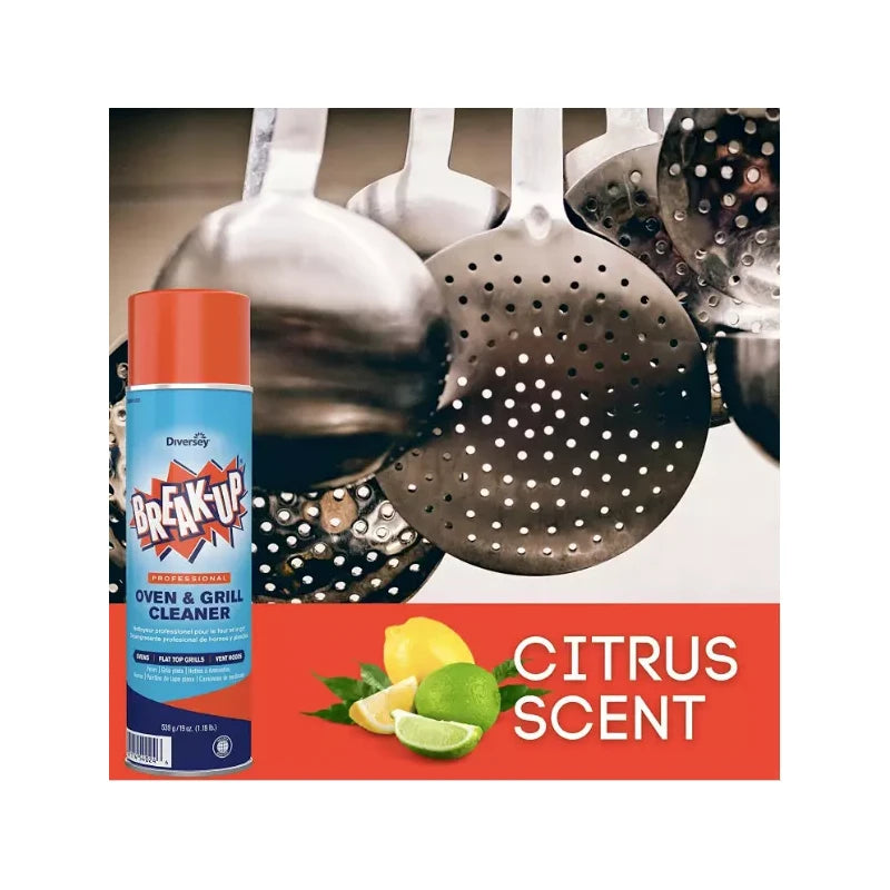 Diversey Break-Up Professional Oven & Grill Cleaner (19 oz) Lot of 2 Brand New